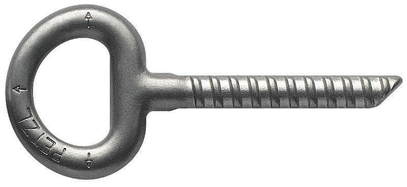 Petzl COLLINOX Forged Stainless Steel Glue in Bolt (Pack of 10) G100AA00 - SecureHeights