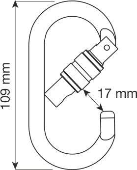 CAMP Safety OVAL PRO LOCK High Strength Screwgate Steel Carabiner 1455 - SecureHeights