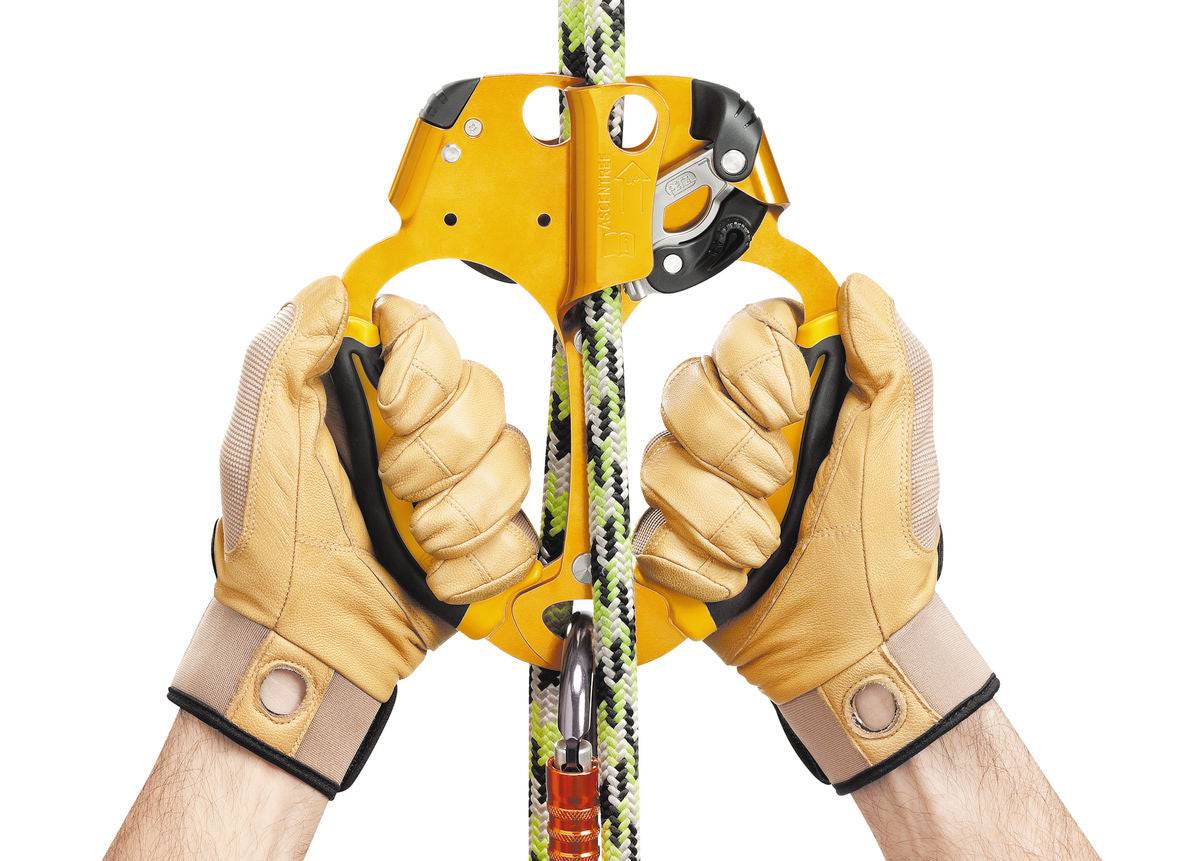 Petzl ASCENTREE Double Handled Rope Ascent Tree Care Rope Clamp B19AAA - SecureHeights