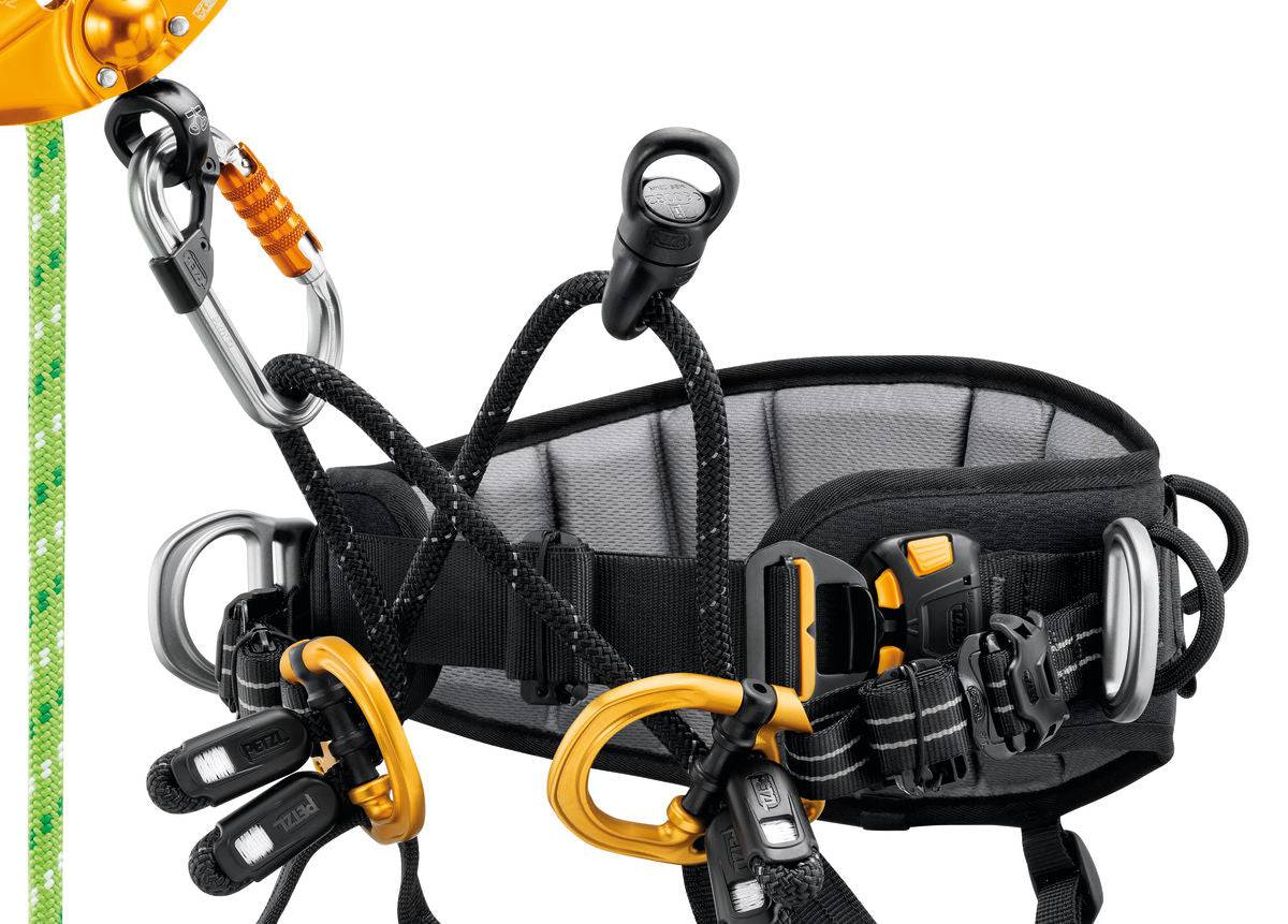 Petzl SEQUOIA Double Rope Ascent Tree Care Seat Harness - SecureHeights