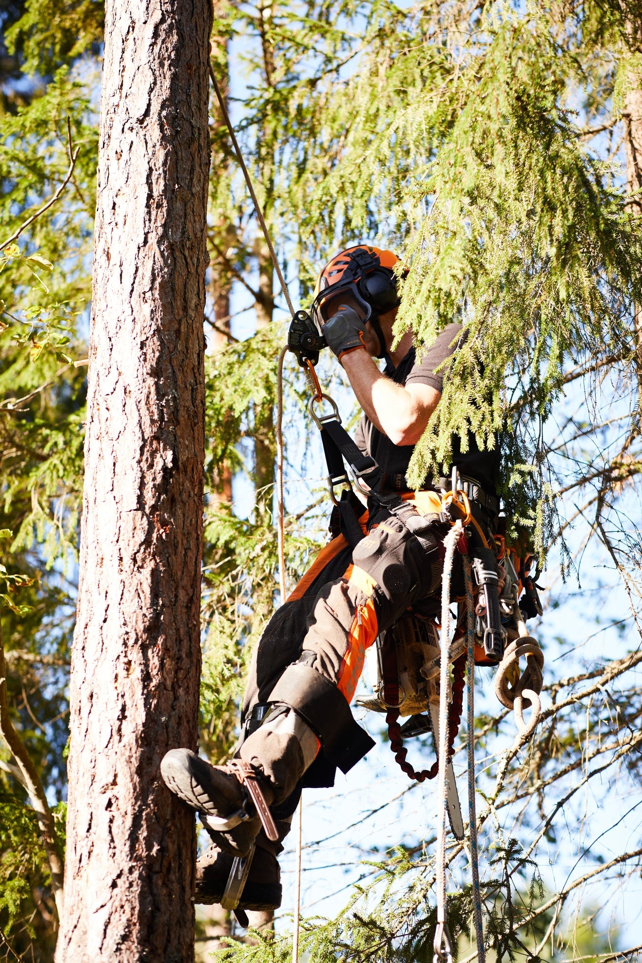 Skylotec SIRIUS Compact Auto Lock Descender A-050 - SecureHeights